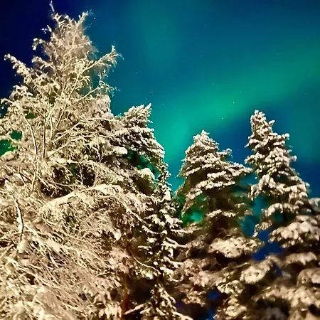 Villa Saarua By The Slopes Ski In, Family & Bike Park, Hike Trails, National Park, Wifi - Lapland Villas Ruka Exterior photo