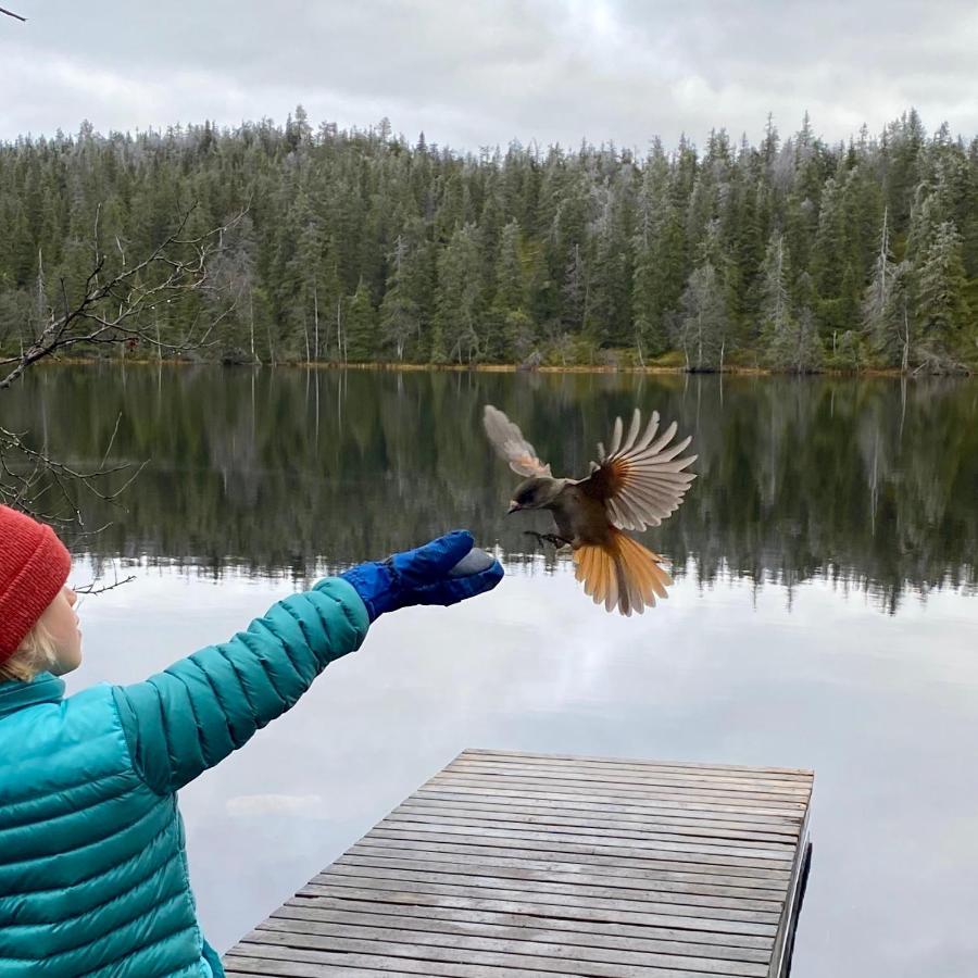 Saarua By The Slopes In, Family & Bike Park, Hike Trails, National Park, Wifi - Lapland * Ruka
