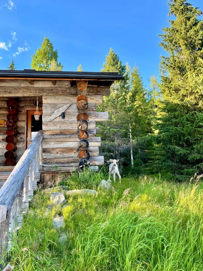 Villa Saarua By The Slopes In, Family & Bike Park, Hike Trails, National Park, Wifi - Lapland Ruka