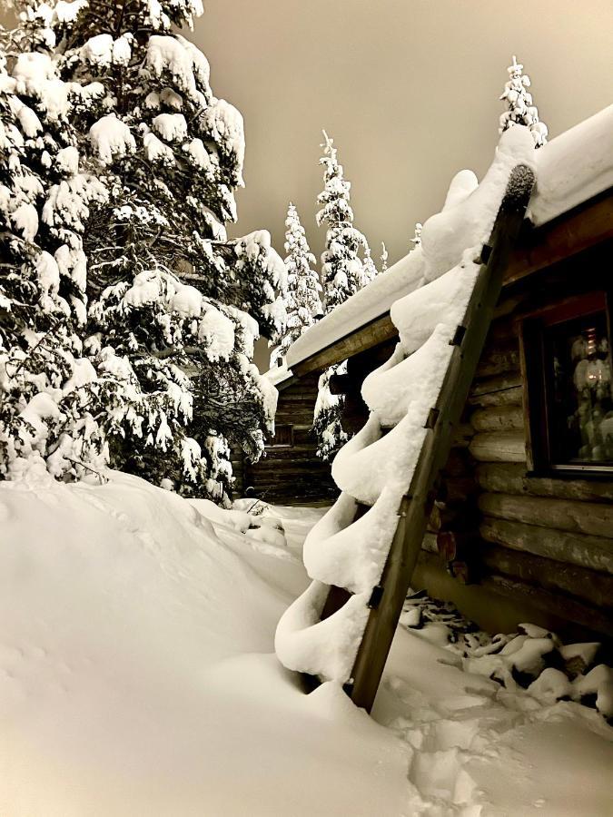 Saarua By The Slopes In, Family & Bike Park, Hike Trails, National Park, Wifi - Lapland Ruka