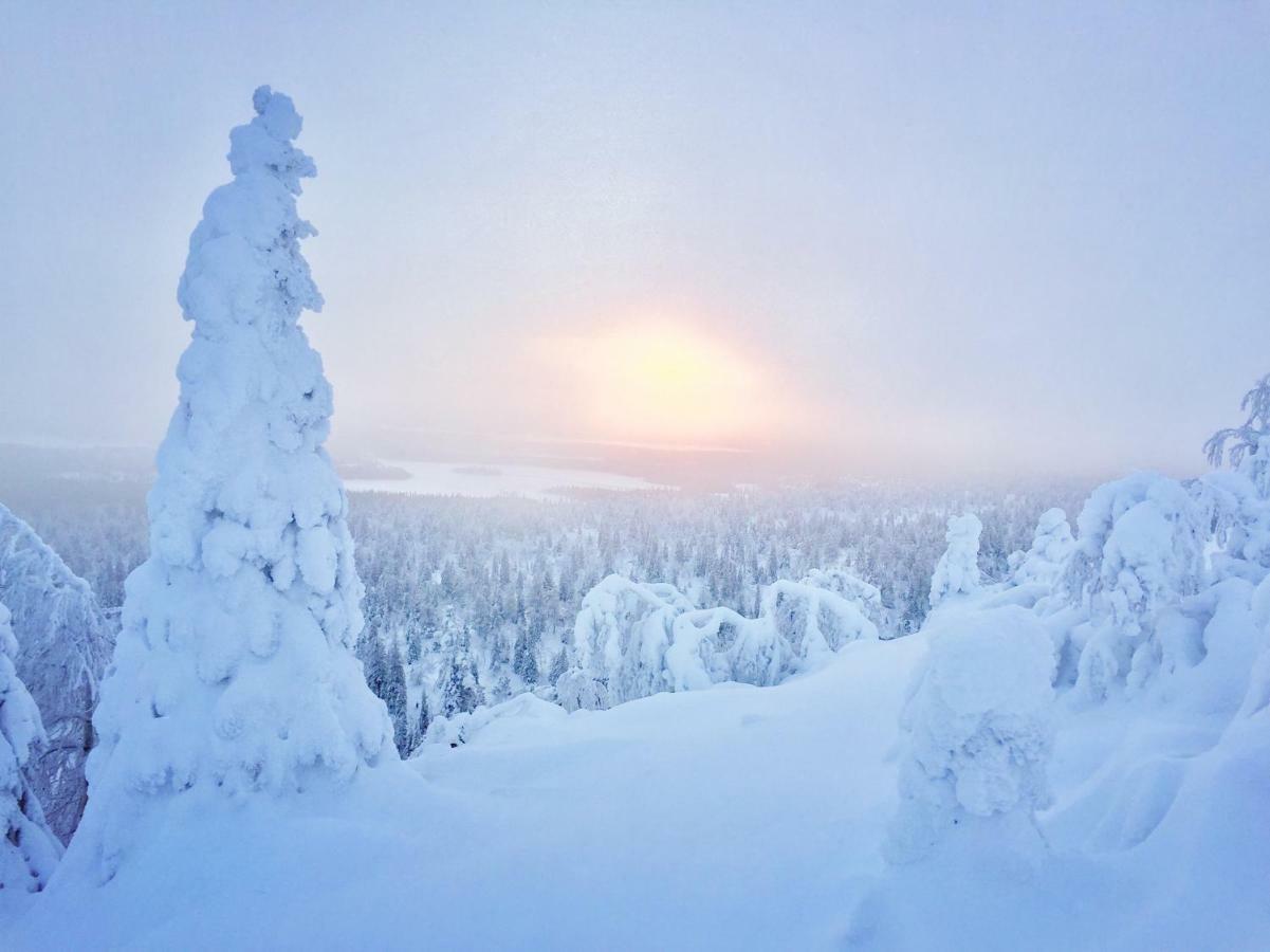 Villa Saarua By The Slopes In, Family & Bike Park, Hike Trails, National Park, Wifi - Lapland *