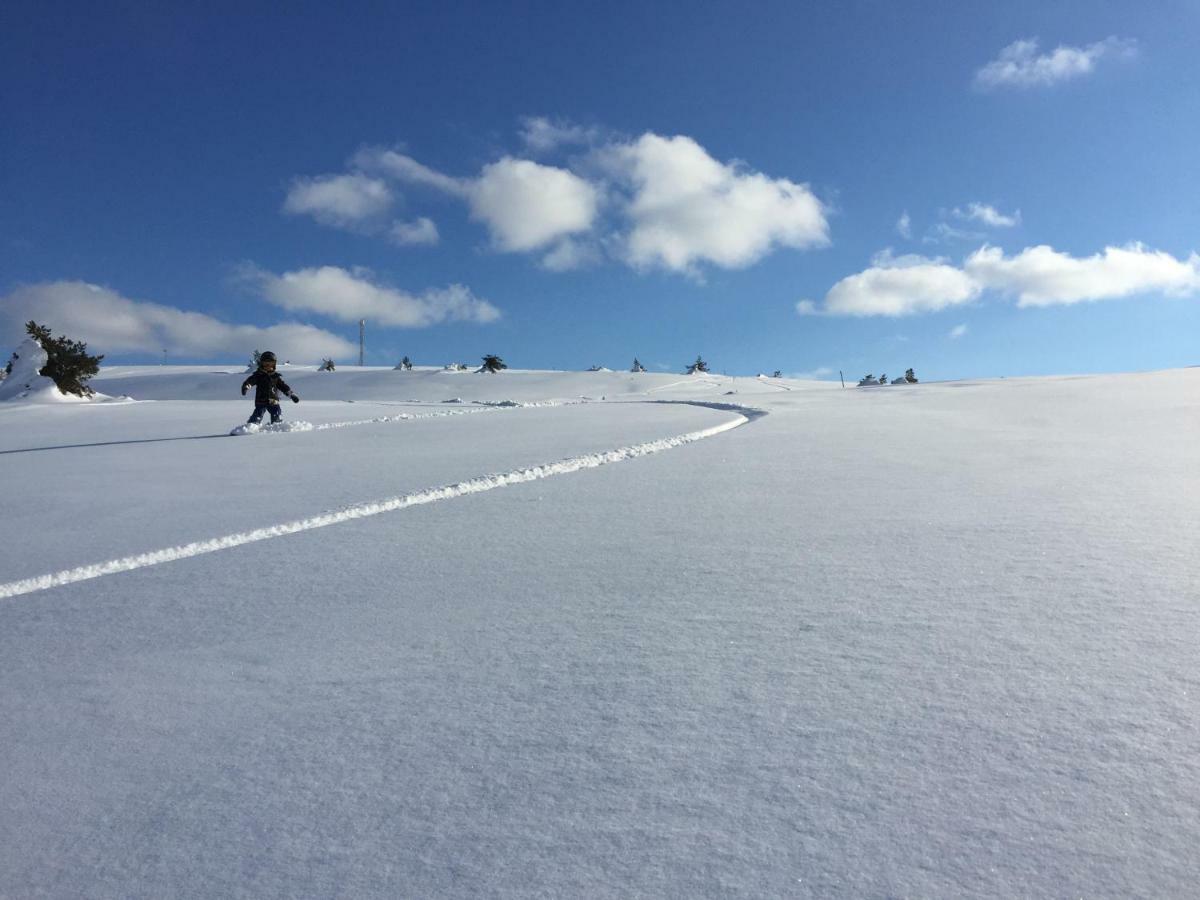 Saarua By The Slopes In, Family & Bike Park, Hike Trails, National Park, Wifi - Lapland Villa Ruka