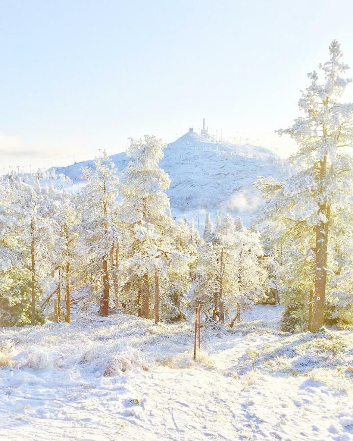 Villa Saarua By The Slopes In, Family & Bike Park, Hike Trails, National Park, Wifi - Lapland