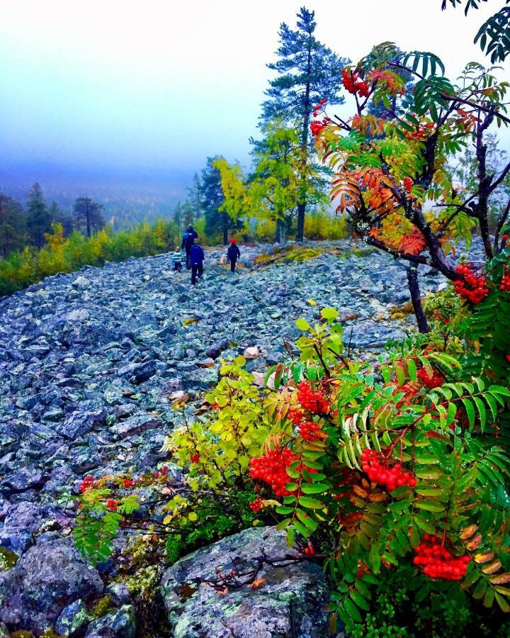 Saarua By The Slopes In, Family & Bike Park, Hike Trails, National Park, Wifi - Lapland *