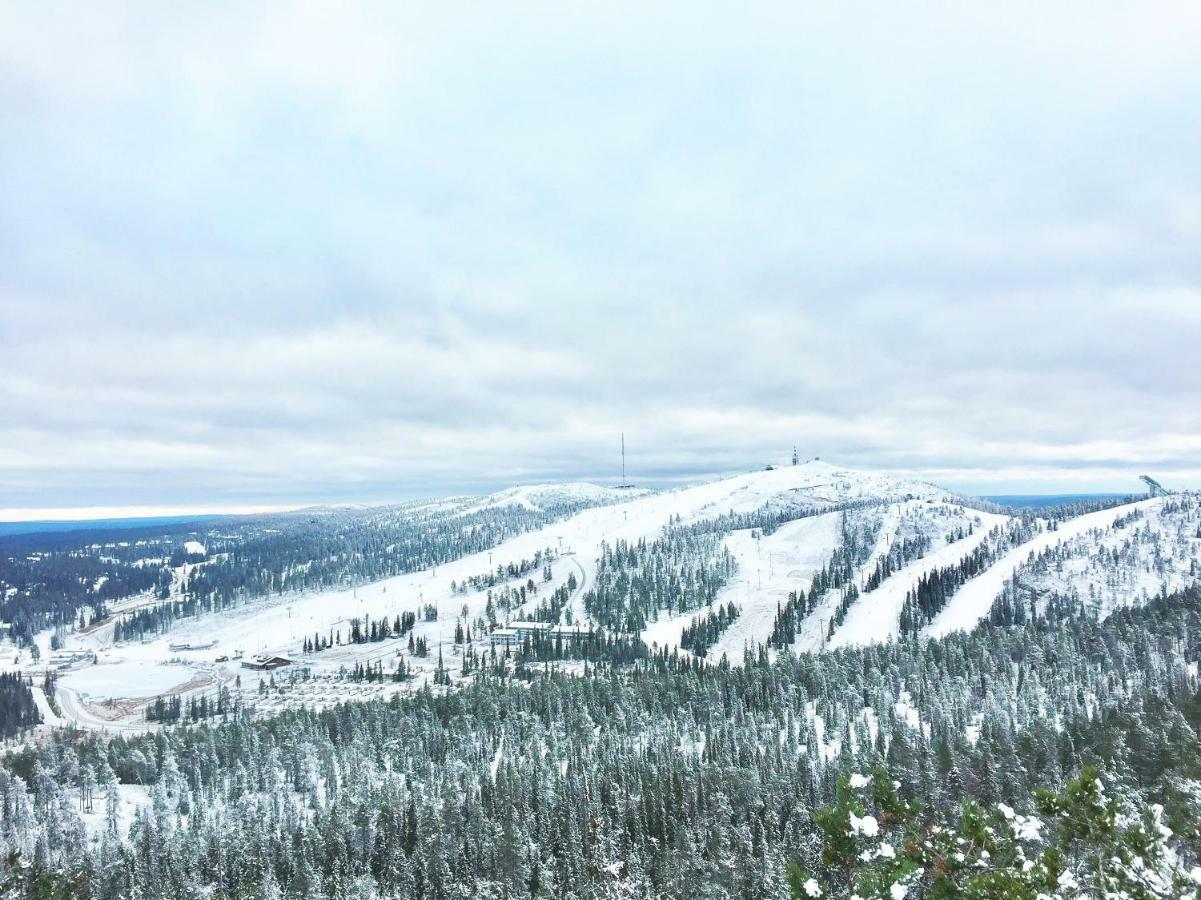 Villa Saarua By The Slopes In, Family & Bike Park, Hike Trails, National Park, Wifi - Lapland Ruka