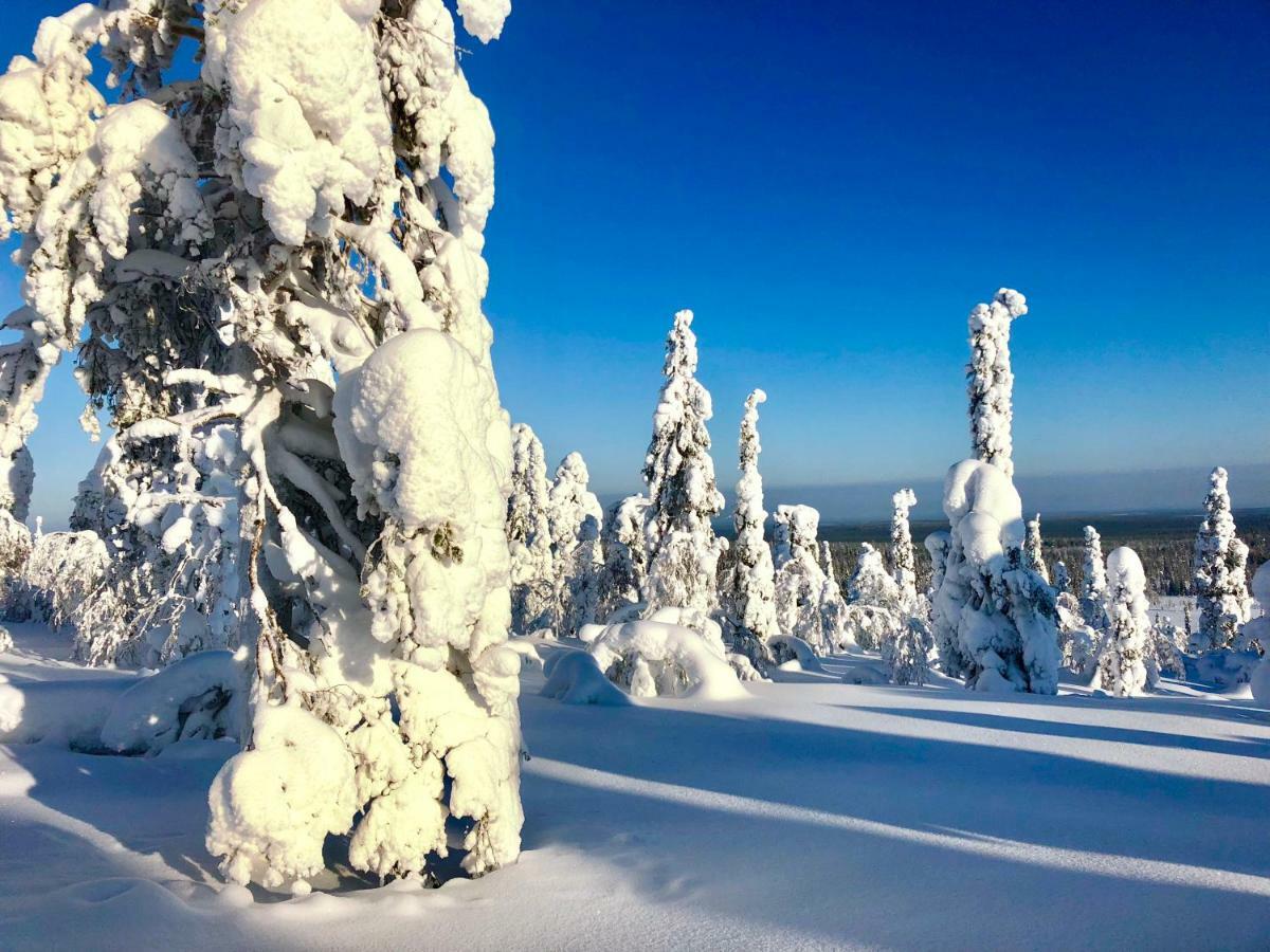 Saarua: Ski-in With Family-friendly Amenities Villa