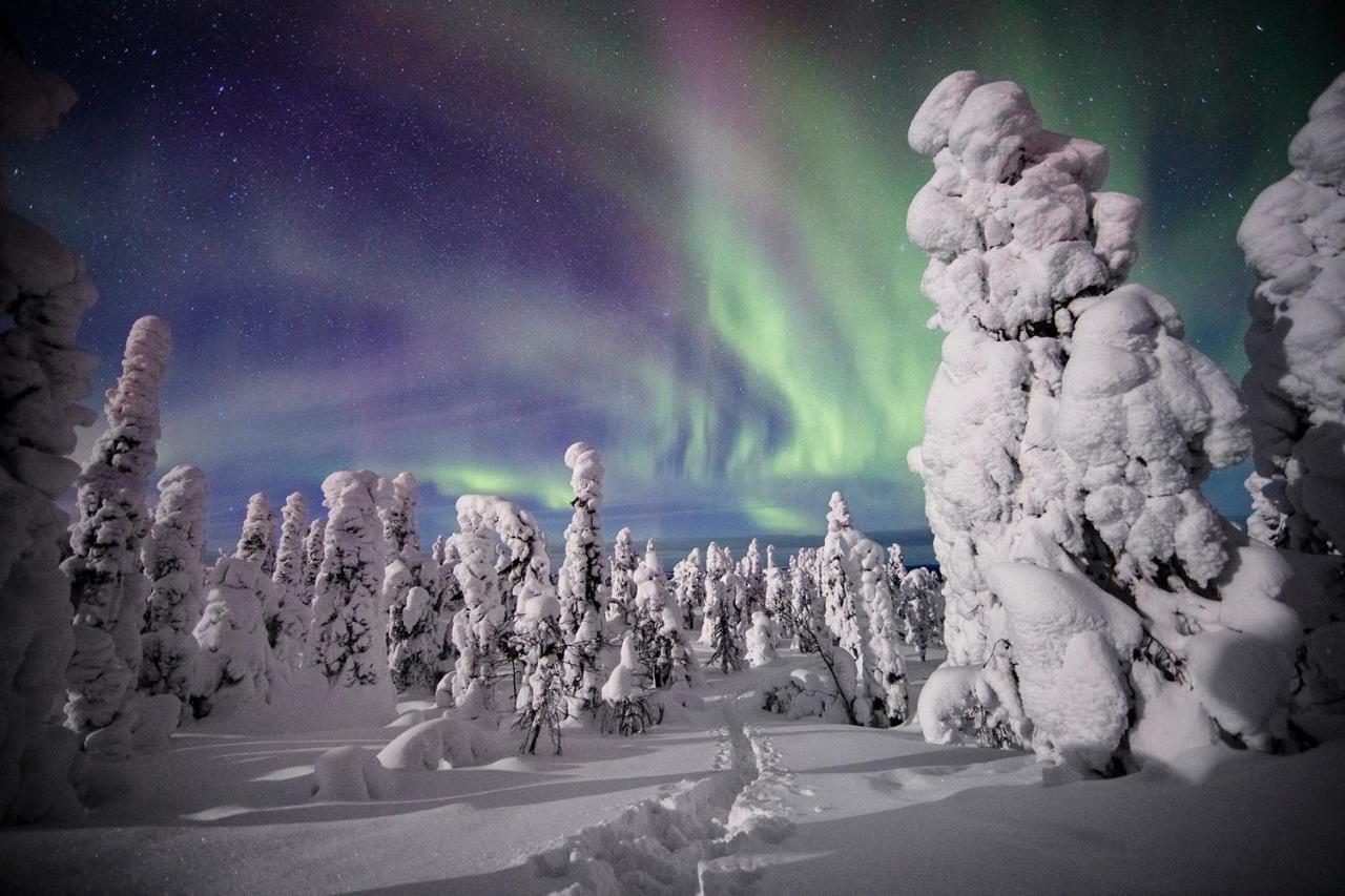 Saarua By The Slopes In, Family & Bike Park, Hike Trails, National Park, Wifi - Lapland Ruka