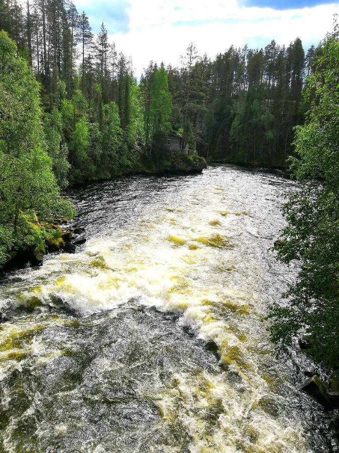 Villa Saarua By The Slopes In, Family & Bike Park, Hike Trails, National Park, Wifi - Lapland *
